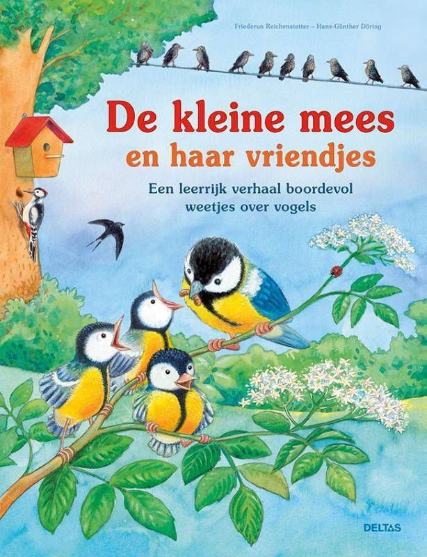 De kleine mees en haar vriendjes Friederun Reichenstetter