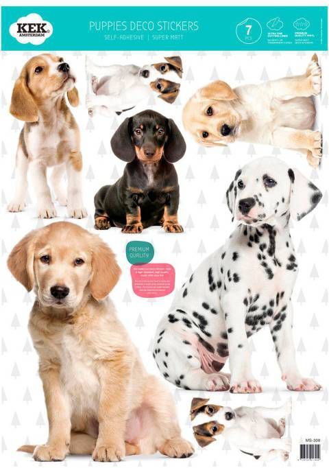 KEK Amsterdam muurstickers Puppies(set van 4)(cm )