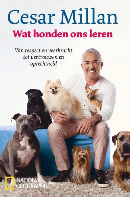 Wat honden ons leren Cesar Millan