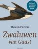 Zwaluwen van Gaast Theunis Piersma online kopen