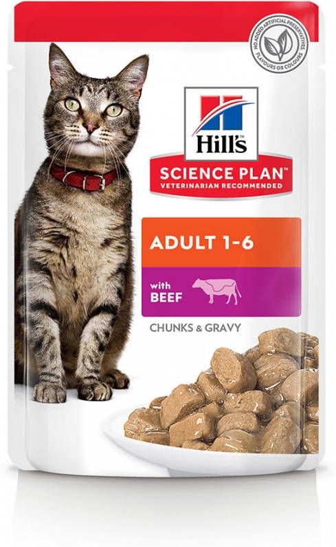 Hill's Science Plan 48x85g Feline Maaltijdzakjes Rund Kattenvoer