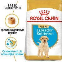 Royal Canin Breed 2x12kg Labrador Retriever Puppy Hondenvoer