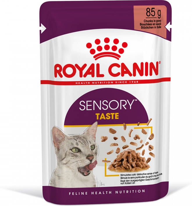 Royal Canin 36 + 12 gratis! 48 x 85 g Kattenvoer Taste in Saus Kattenvoer